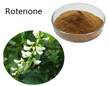 Rotenone Powder