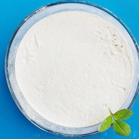 Dicalcium phosphate powder.jpg