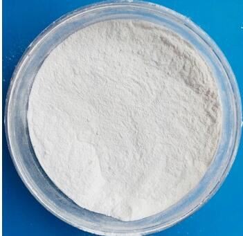 buy Dicalcium phosphate.jpg