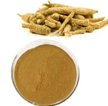 Siberian Ginseng Root Extract614efddd 8a98 4599 Bf55 52b51eed6afc