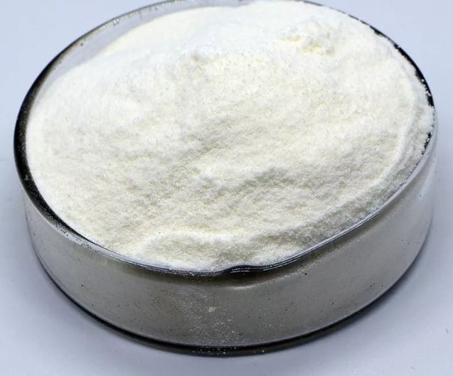 Lactobacillus casei22392656806