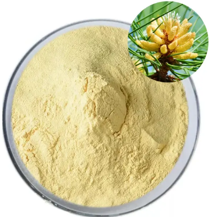 Pine Pollen Powder Extract5e929017 077c 4f31 89a1 883a8aec3a27