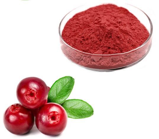 Freeze Dried Cranberry Powder45377732753