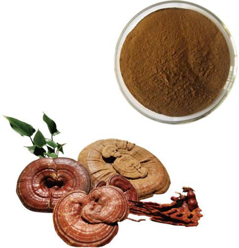 Organic Reishi Mushroom Extract05107005584