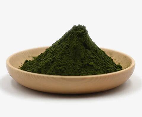 Best Chlorella Powder41521280986