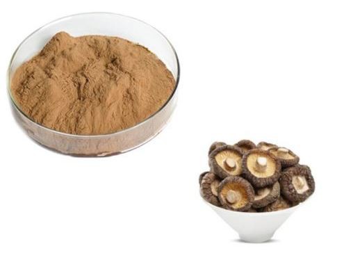 Shiitake Powder56563665246