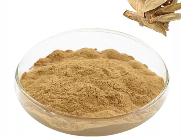 Astragalus Extract23170597183