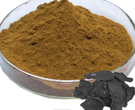 Polygonum Extract197000c5 2701 4ce5 B0ac 2e09a54a186b