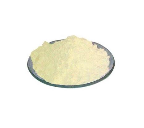 Aspergillus Oryzae Enzyme17519892318