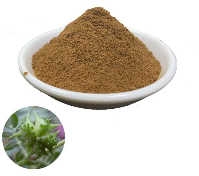 Best Tribulus Terrestris Extract44193871329