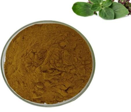 Oregano Herb Powder13149482501