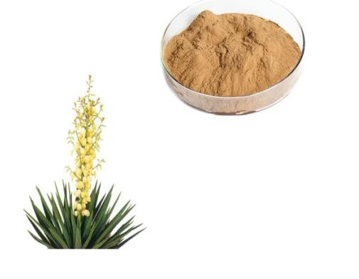 Yucca Schidigera Root Extract49016251742