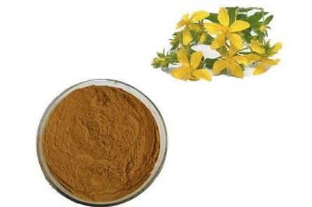 Hypericum Perforatum Extract07309903568