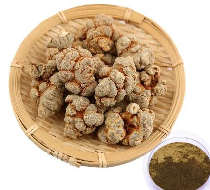 Notoginseng Extract426426ed 7913 414b 8b7b Aa9c7f5a9459