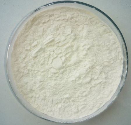 Lipase Enzyme Powder49066221389