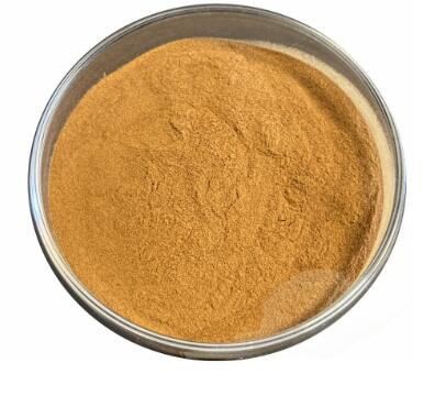 Slippery Elm Inner Bark Powder36572461630