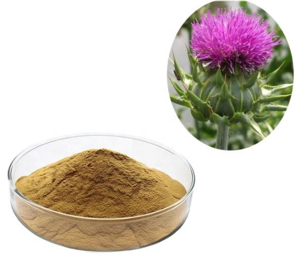 Milk Thistle 80 Silymarin54013508666