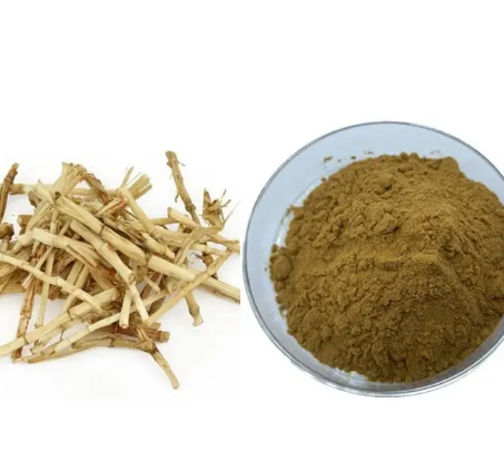 Imperata Cylindrica Root Extract473d6801 A411 43a4 81db 48c878b3a5f3