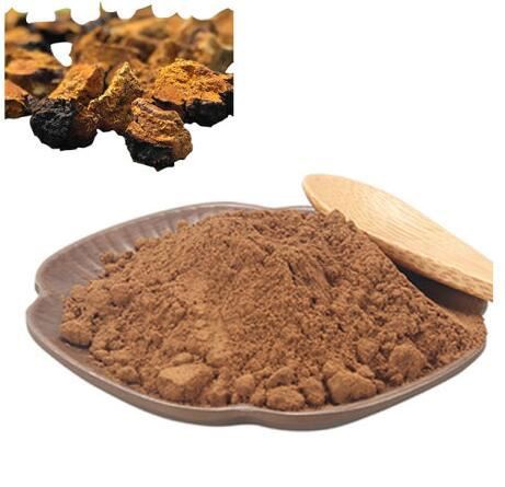 Chaga Mushroom Extract46546221244