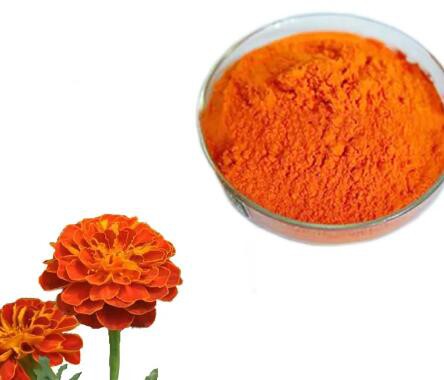 Marigold Extract981994a6 3855 4ca8 Aef3 C131cd7e078f