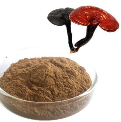 Organic Reishi Powder04083563588