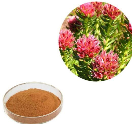 Rhodiola Extract36328623067