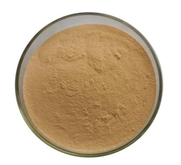 Chromium Rich Yeast30537313888