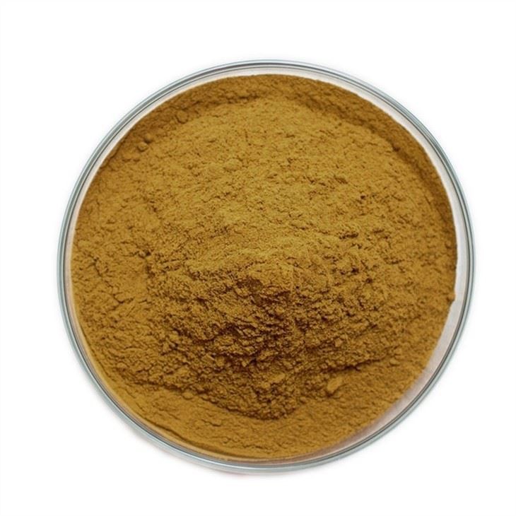 Acanthopanax Senticosus Extract59326629959