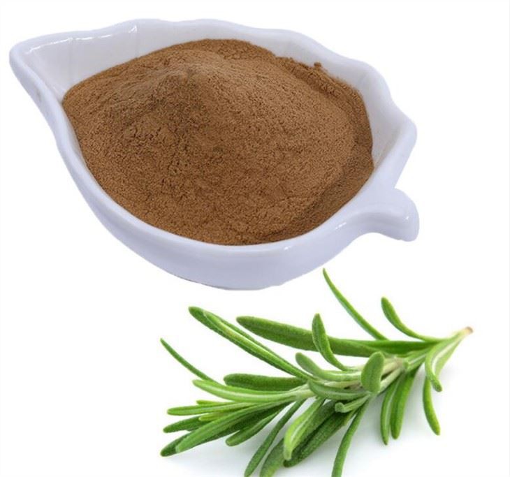 Rosemary Extract57592856215