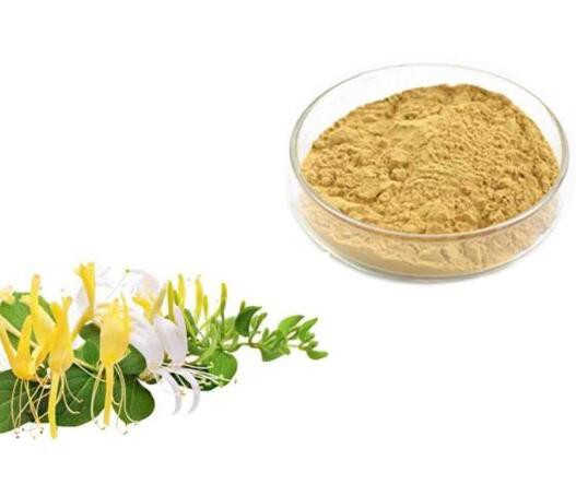 Honeysuckle Powder43209754309