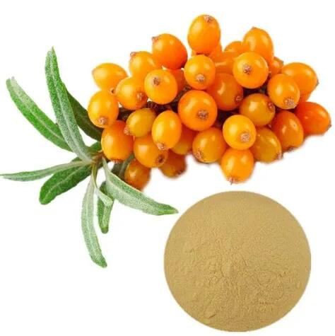 Sea Buckthorn Extract36334260279