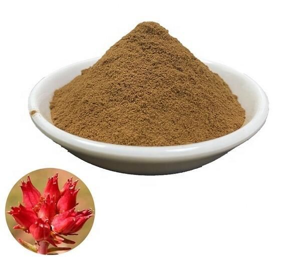 Rhodiola Root Powder56204133513