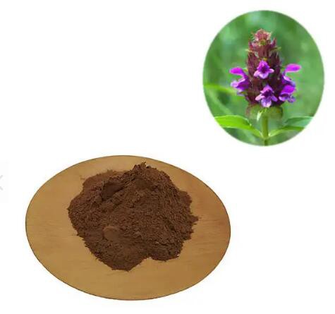 Prunella Vulgaris Extract2300f0b8 23d8 47fc 8a58 Bbfa827c5ad0