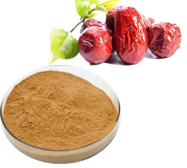 Jujube Extract Powder13319293893