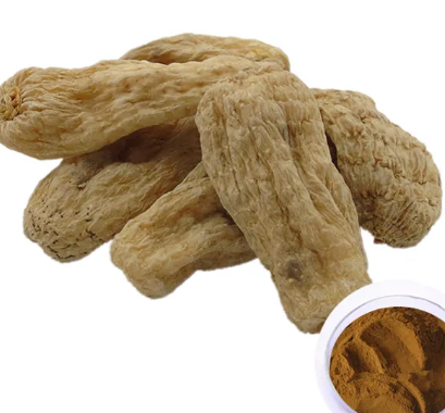 Gastrodia Elata Extractc5e04e11 E02a 4496 8eff B301f34a086c