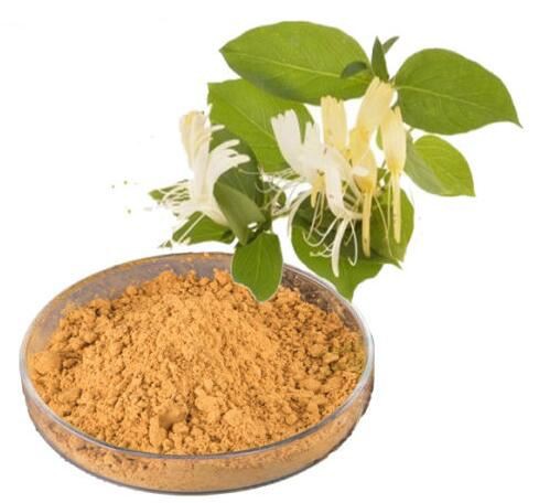 Honeysuckle Flower Extract51098196861