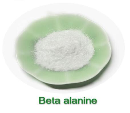 Beta alanine powder03423961506