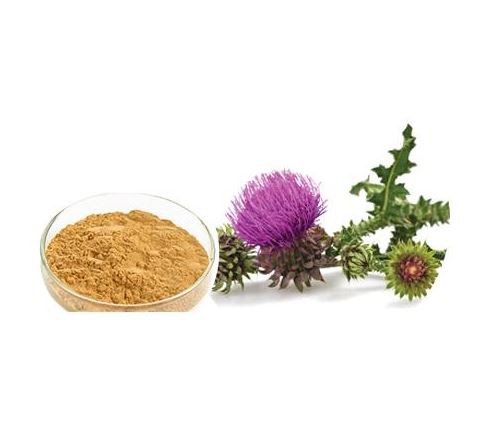 Best Milk Thistle Extract21451047783