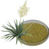 Yucca Powder54318306517