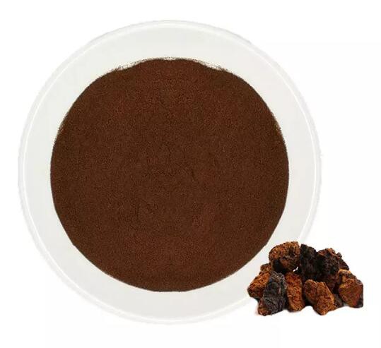 Chaga Extract Powder22159977674