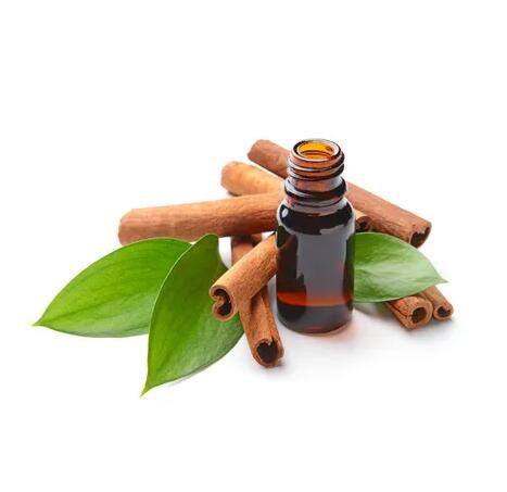 Cinnamon Bark Oil01213330226