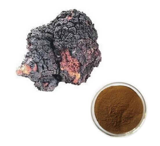 Chaga Extract42348530478