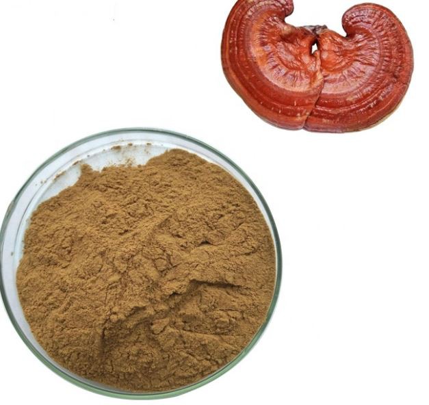 Reishi Extract Powder42593889722