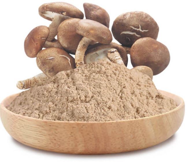 Shiitake Mushroom Extract06350601616