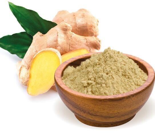 Organic Ginger Powder56433330811