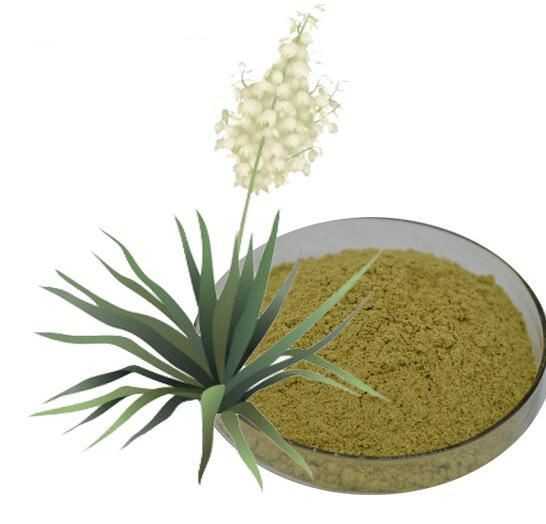 Yucca Root Extract35023744412