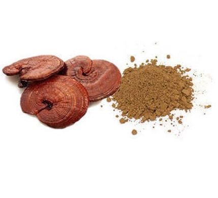 Reishi Powder39007663415