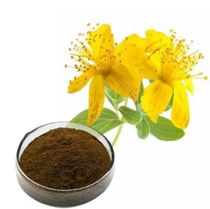 St John S Wort Hypericin38114847953