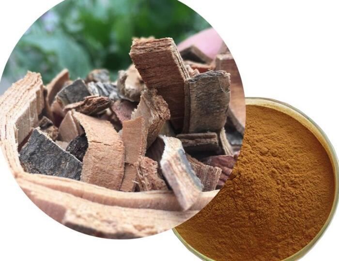 Ash Bark Extract50133416224