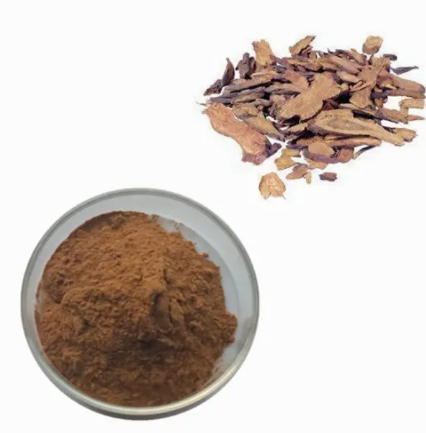 Sanguisorba Officinalis Extracte5b67731 05a9 43c2 94ff 3bbde30db72d